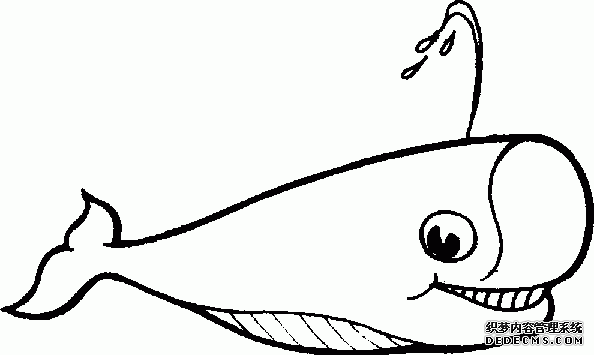 幼儿简笔画线描素材海洋动物鱼素材〔图解〕 - 淡泊 - 淡泊