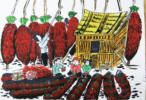 辣椒收获的季节