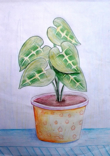窗台一角/少儿绘画作品/儿童画/网络美术馆_中国少儿