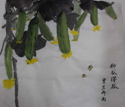 种瓜得瓜