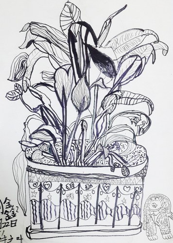 少儿书画作品-《写生盆景植物》/儿童书画作品《写生盆景植物》欣赏