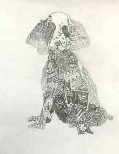 斑点狗