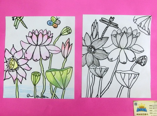 线描彩铅荷花