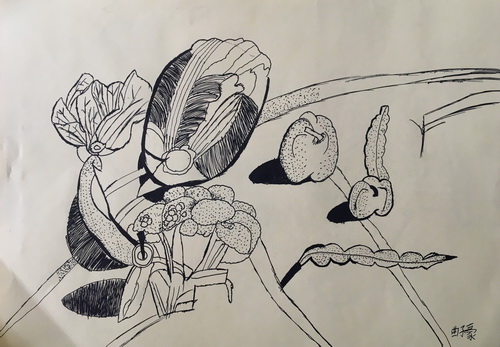 蔬菜写生
