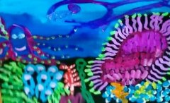 海葵  