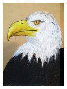网络美术馆_少儿绘画作品欣赏_儿童画欣赏_中国少儿美术网