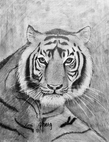 少儿书画作品-老虎头像/儿童书画作品老虎头像欣赏_中国少儿美术教育
