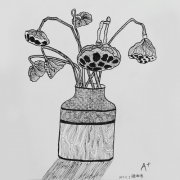 莲蓬线描写生