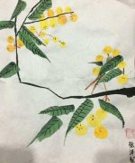 枇杷  