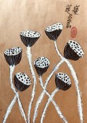 《莲蓬》